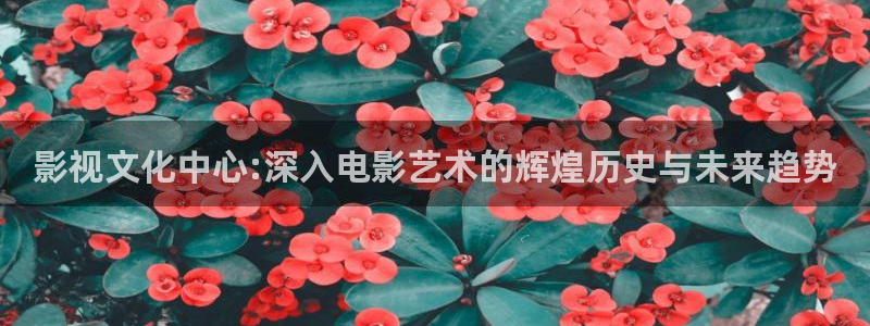 草民电影网最新：影视文化中心:深入电影艺术的辉煌历史与未来趋势