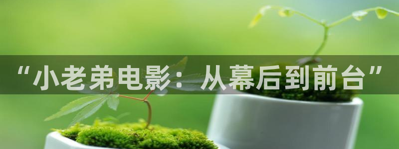 草民影院在线播放：“小老弟电影：从幕后到前台”