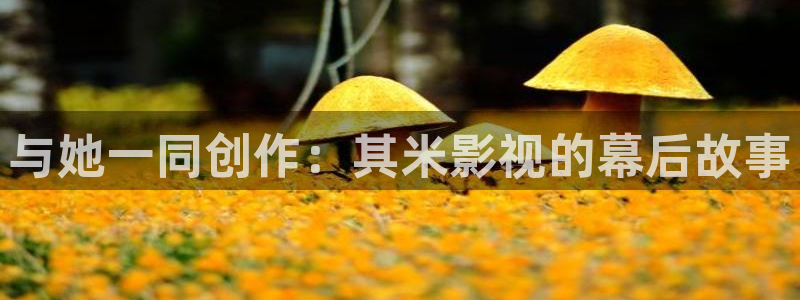 新草民电影网：与她一同创作：其米影视的幕后故事