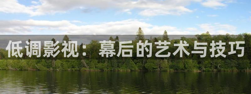 草民影视免费观看：低调影视：幕后的艺术与技巧