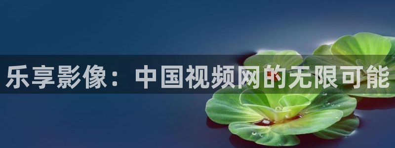 草民网电影：乐享影像：中国视频网的无限可能