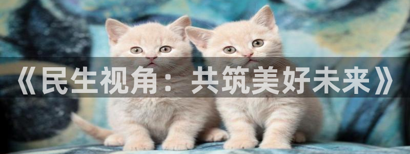草民影院：《民生视角：共筑美好未来》