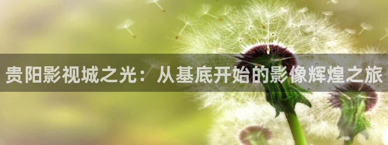 草民手机电影：贵阳影视城之光：从基底开始的影像辉煌之旅