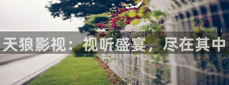 影院草民：天狼影视：视听盛宴，尽在其中
